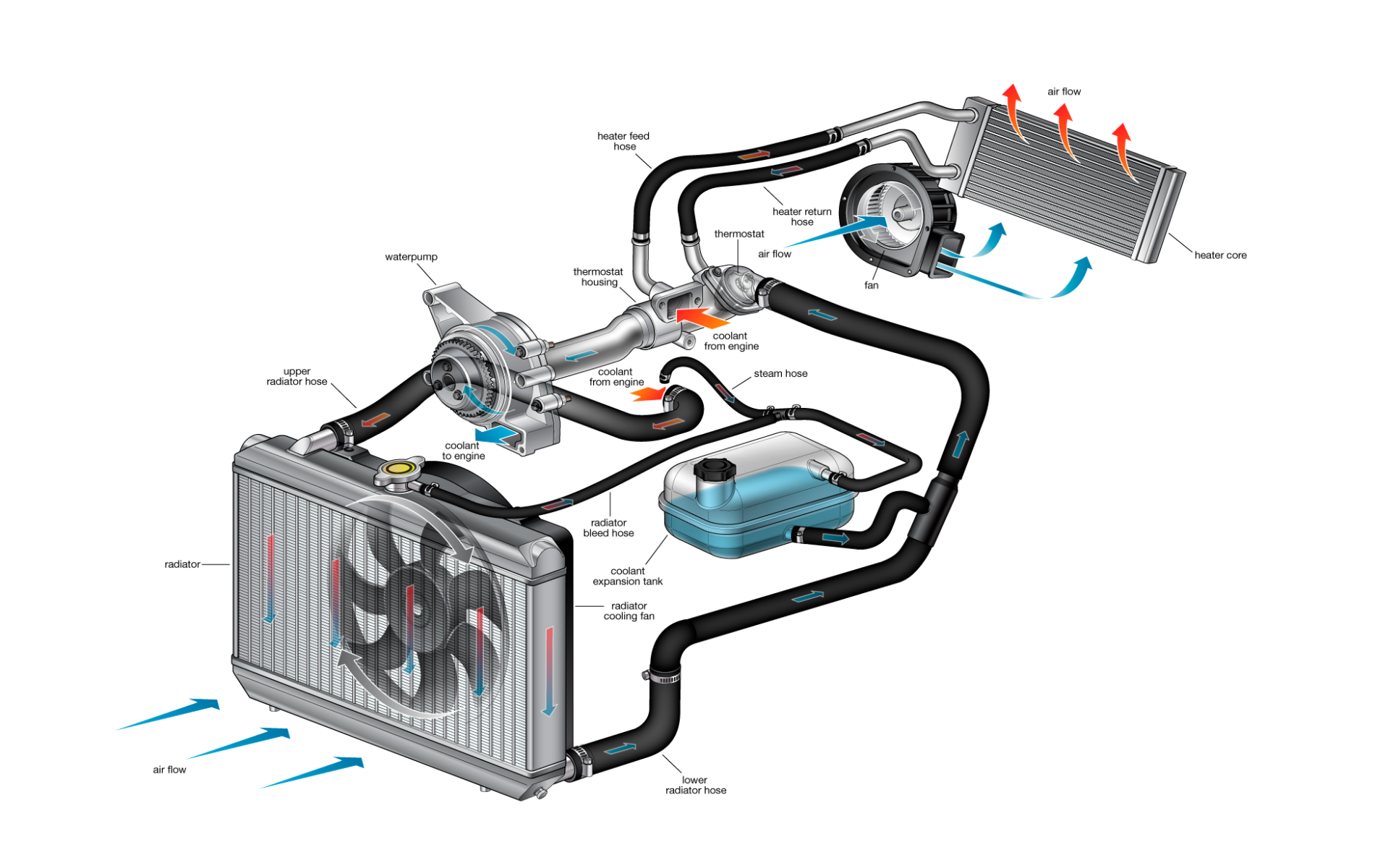 Glenwood Auto Service Vehicle Systems Overview - Engine Cooling